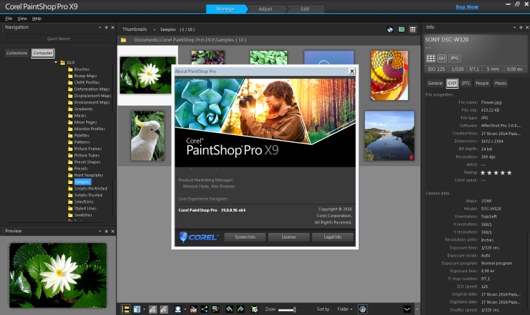 paintshop pro x9 torrent download