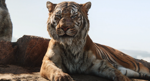 TheJungleBook1080p33611.png