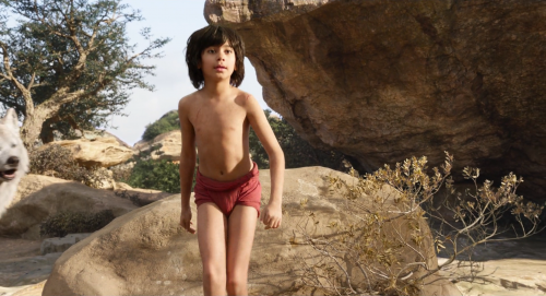 TheJungleBook1080p9939.png