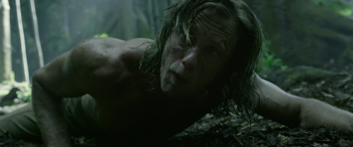 Tarzan (8)