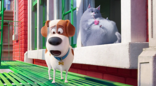 Download The Secret Life of Pets 2016 720p BluRay