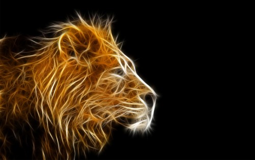 Cool Lion Wallpaper Gold Graphic 3D HD1
