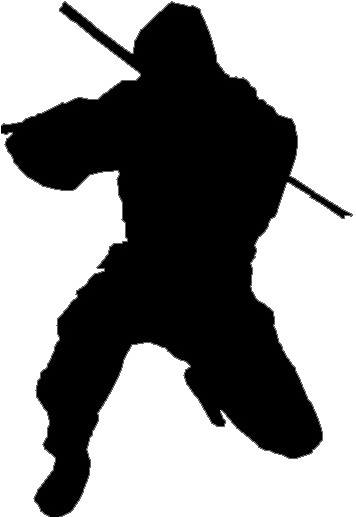 ninja31.jpg