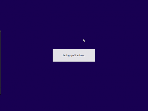 11.png