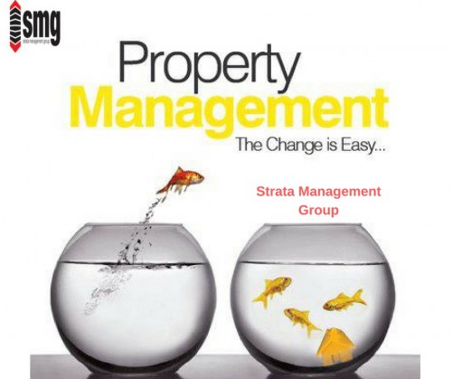Strata manager Providing proactive and efficient management means we won’t just sit back and wait for your continual follow ups like at other firms. We will complete the task and keep the committee/ owners updated at all times.