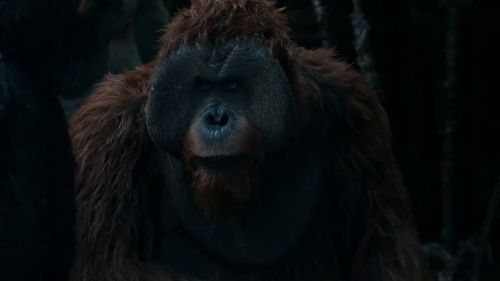 War for the Planet of the Apes 2017 720p HC HDRip x264 M2Tv (2)