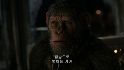 War for the Planet of the Apes 2017 720p HC HDRip x264 M2Tv (3)