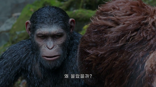 War for the Planet of the Apes 2017 720p HC HDRip Hindi (Cleaned) English x264 LOKI M2Tv (6)