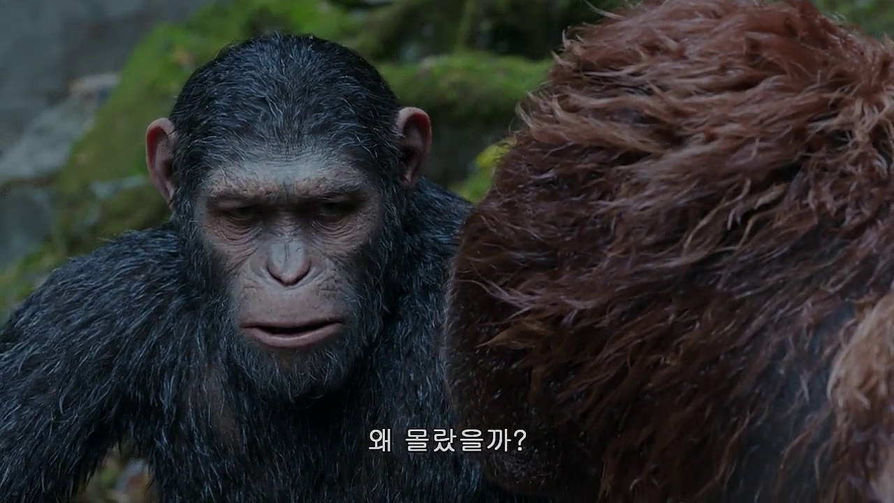 War for the Planet of the Apes 2017 ORG Dual Audio Hindi