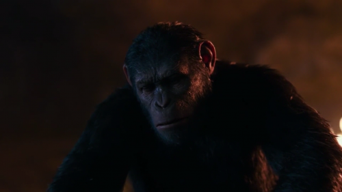 War for the Planet of the Apes 2017 1080p HC HDRip x264 DD5.1 NextBit.mkv snapshot 00.24.25