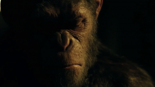 War for the Planet of the Apes 2017 1080p HC HDRip x264 DD5.1 NextBit.mkv snapshot 00.36.45