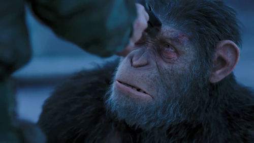 War for the Planet of the Apes 2017 1080p HC HDRip x264 M2Tv (2)