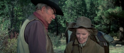 Rooster.Cogburn.1975.720p.BluRay.AAC2.0.x264 DON[(086800)2017 10 05 11 29 58]