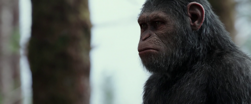 War for the Planet of the Apes 2017 1080p WEB DL x264 DD 5 (4)