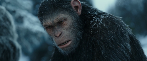 War for the Planet of the Apes 2017 1080p AMZN WEB DL x264 DD 5 (1)