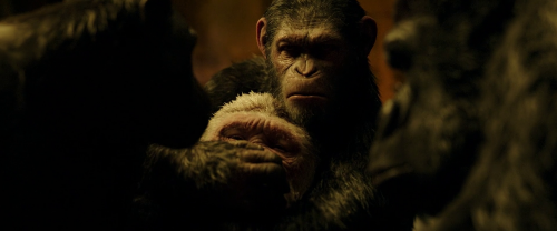 War for the Planet of the Apes 2017 1080p AMZN WEB DL x264 DD 5 (5)