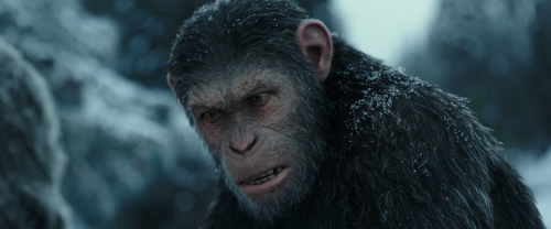War For The Planet Of The Apes 2017 1080p BRRip x264 DTS M2Tv (5)