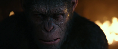 War For The Planet Of The Apes 2017 720p BRRip x264 M2Tv (2)