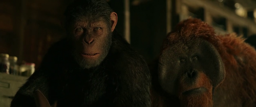 War For The Planet Of The Apes 2017 720p BluRay Hindi English DD 5.1 LOKI M2Tv (2)