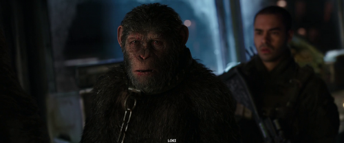 War For The Planet Of The Apes 2017 1080p BluRay Hindi English DD 5.1 LOKI M2Tv (5)