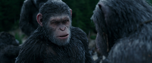 War For The Planet Of The Apes 2017 1080p BluRay Hindi English DD 5.1 LOKI M2Tv (2)