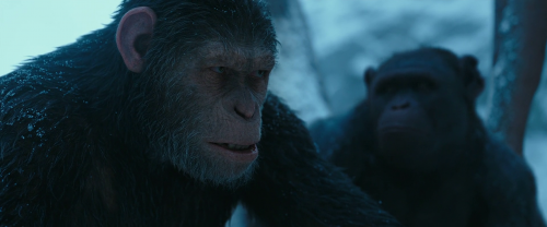 War For The Planet Of The Apes 2017 1080p BluRay Hindi English DD 5.1 LOKI M2Tv (4)
