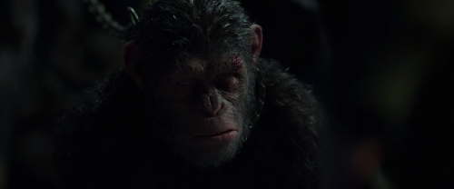 War for the Planet of the Apes 2017 1080p BRRip x264 DTS NextBit.mkv snapshot 01.03.05