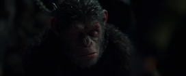 War for the Planet of the Apes 2017 1080p BRRip x264 DTS NextBit