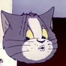 f03IM.jpg