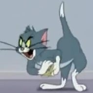 fqggr.jpg