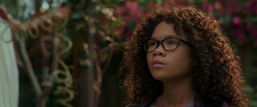 A Wrinkle in Time 2018 1080p BluRay x264 DTS M2Tv (3)