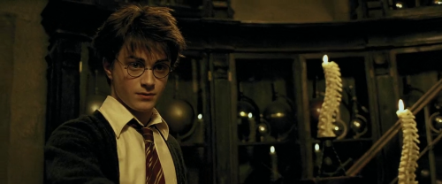 Harry Potter Complete Collection 720p BluRay Hindi English x264 AC3 ESubs LOKI M2Tv (1)
