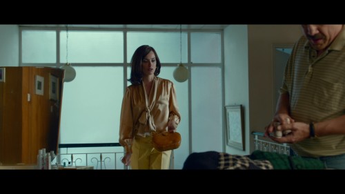 Loving.Pablo.2017.1080p.NF.WEB DL.DD5.1.x264 NTb[(043553)2018 07 16 22 06 23]