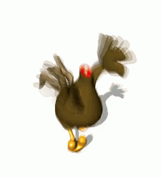 qLQ6V.gif