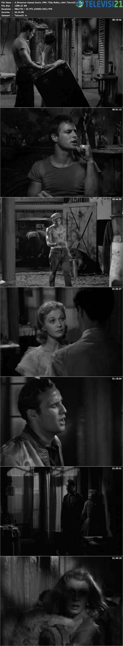 A.Streetcar.Named.Desire.1951.720p.BluRay.x264 Televisi21.tv