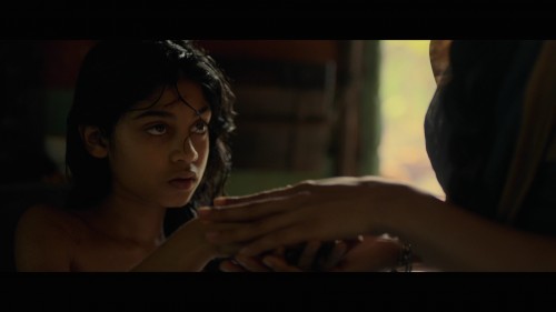 Mowgli Legend of the Jungle 2018 ViE 1080p NF WEB DL DDP5.1 x264 NTG[(101967)2018 12 18 20 24 38]