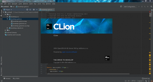 clion license expired