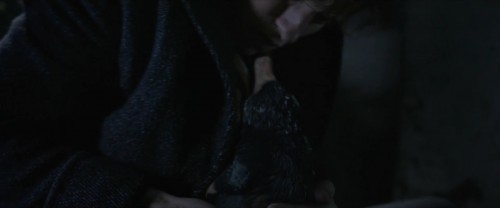 Fantastic.Beasts.The.Crimes.of.Grindelwald.2018.1080p.HDRip.HC.AC3.X264 CMRG[(432267)2018 12 25 16 3