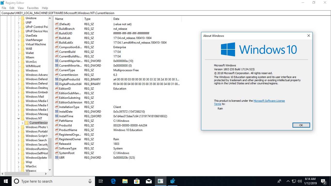 Windows 10 AIO RS4 v1803.17134.523 Extend Version En-Us Jan2019 (x86-x64) [30in2]