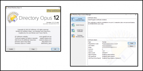 02 Directory Opus PRO