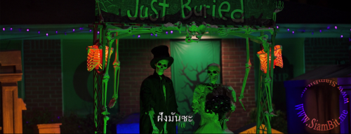 VpBgz.png