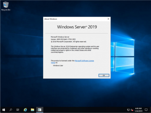 Windows Server 2019 Torrent