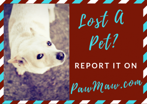 Lost or found a pet? Report it on pawmaw.com