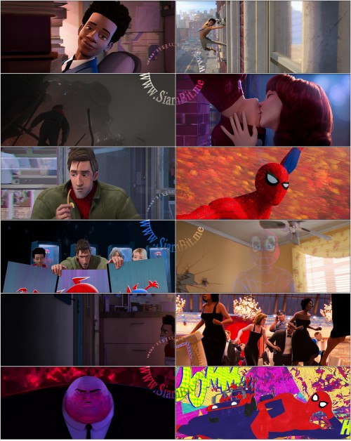 jef3D.jpg