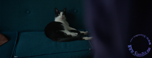jiGMz.png