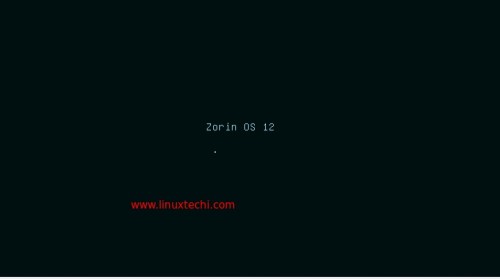 Zorin OS 12 installation Screen
