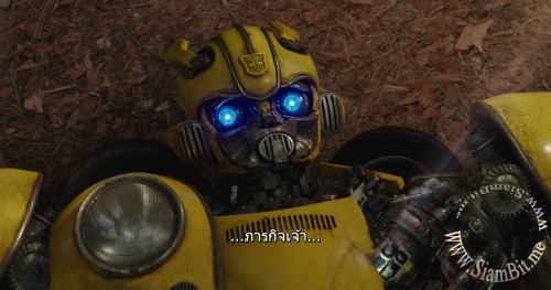 ldtgs.png