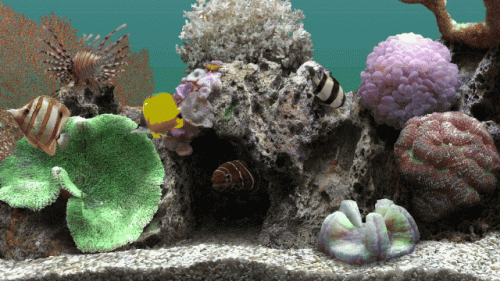 04 SereneScreen Marine Aquarium