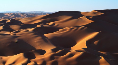 taNwJ.jpg