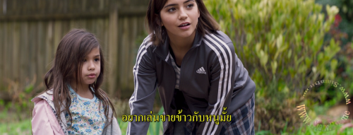 CLbee.png